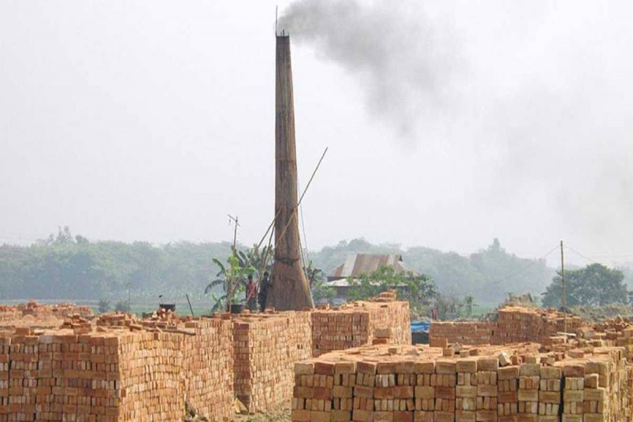 Bogura agriculture at stake as topsoil goes to brick kilns
