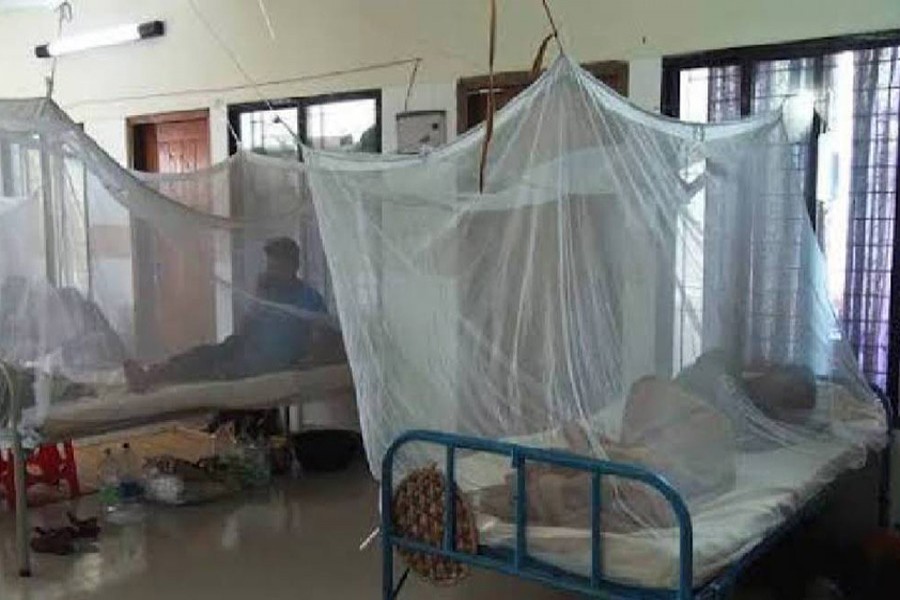 No new dengue case in last 24 hrs: DGHS