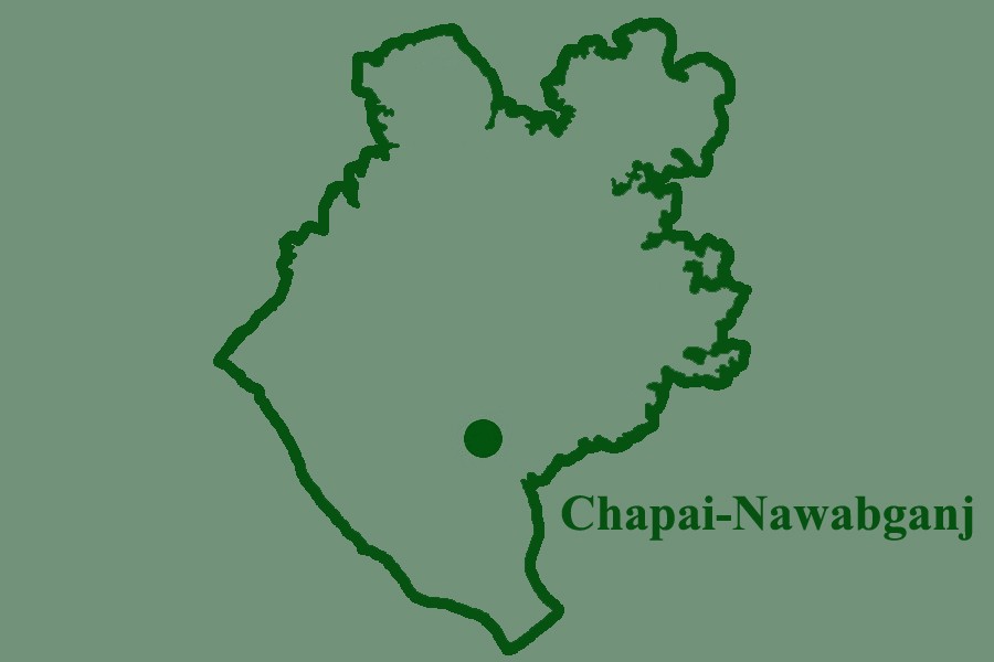 Chapainawabganj road crash kills pedestrian