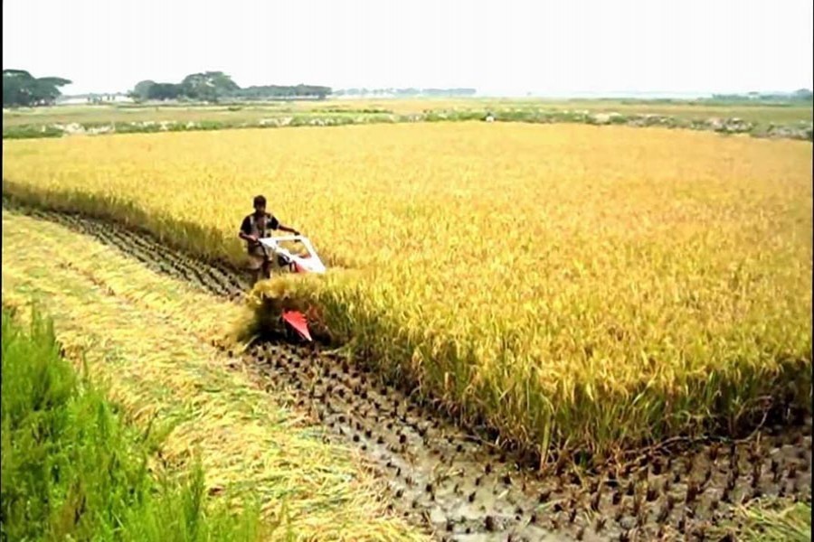 Evolution of Bangladesh's agriculture policies   