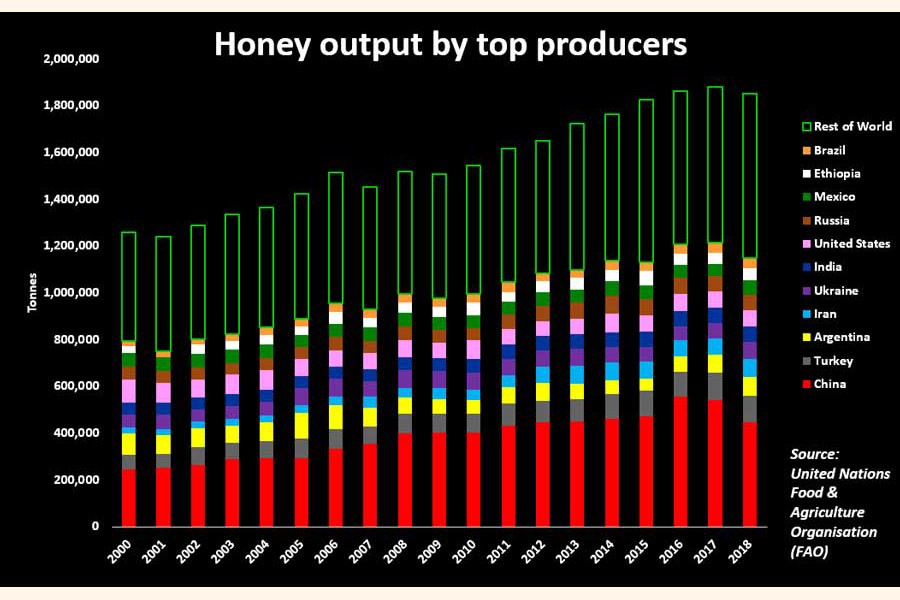 Coronavirus stings world's top honey makers  with China beekeepers locked down