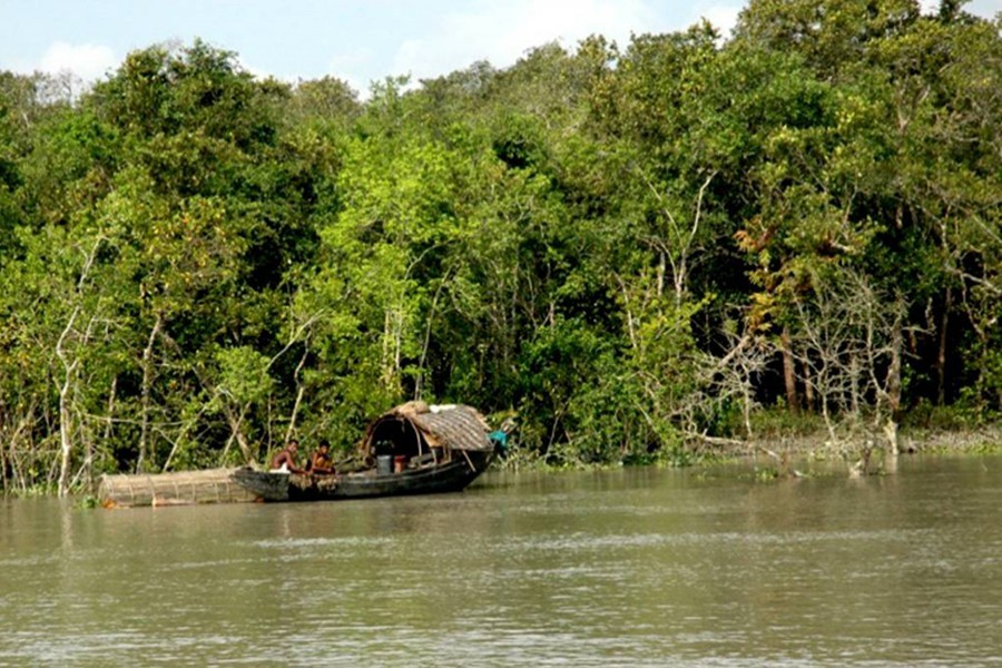 Govt bans tourists in Sundarbans amid virus outbreak