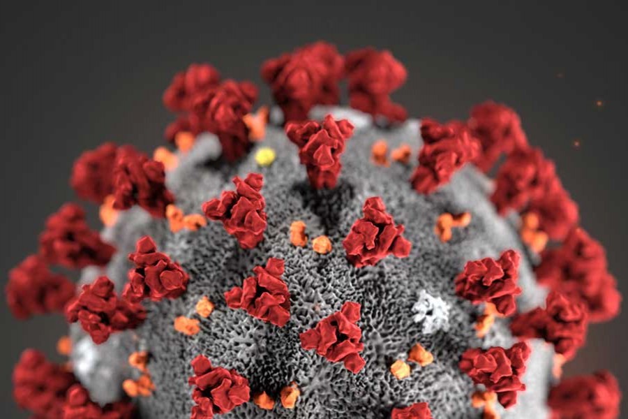Three more test positive for coronavirus in Bangladesh