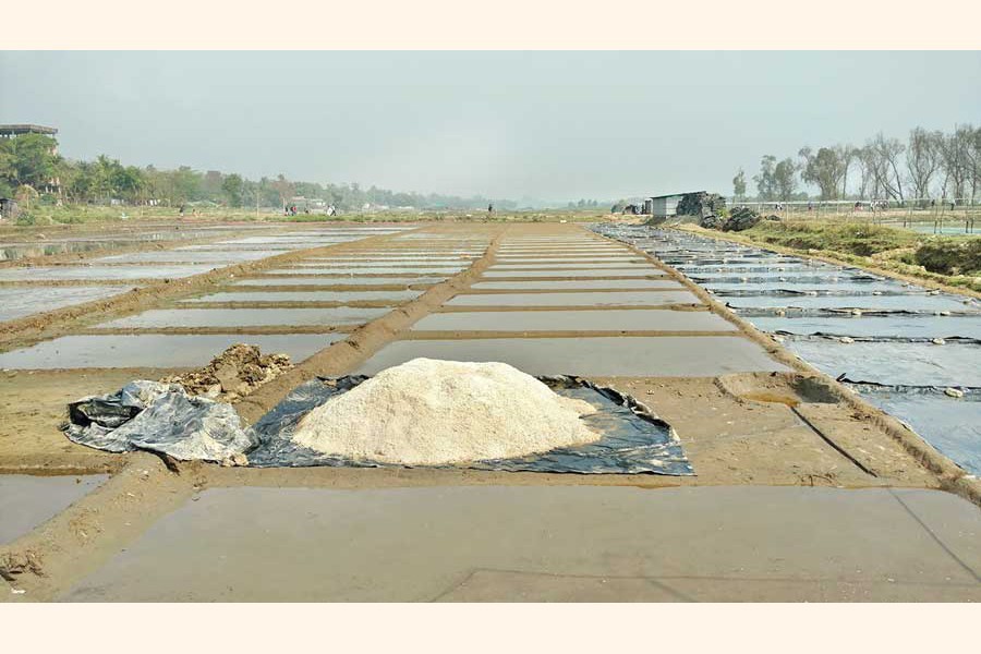 FE file photo shows a salt bed at Teknaf in Cox's Bazar
