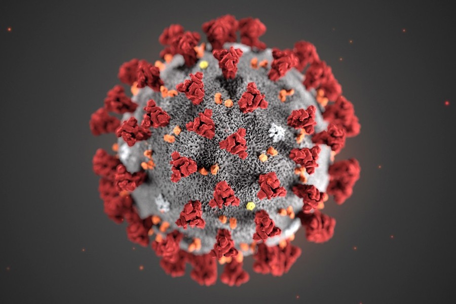 The ultrastructural morphology exhibited by the 2019 Novel Coronavirus, which was identified as the cause of an outbreak of respiratory illness first detected in Wuhan, China, is seen in an illustration released by the Centers for Disease Control and Prevention (CDC) in Atlanta, Georgia, US on January 29, 2020 — Via Reuters
