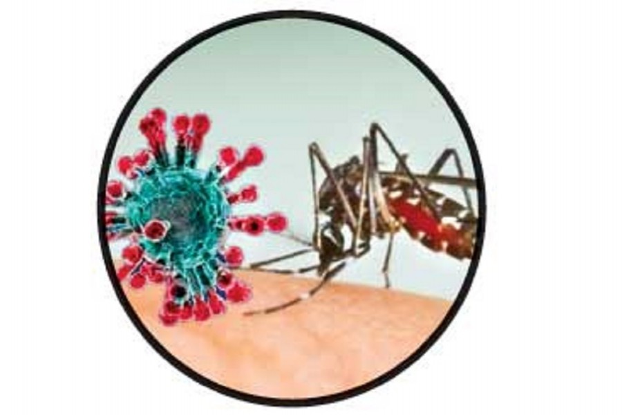 Dengue and Covid-19: A deadly combination   