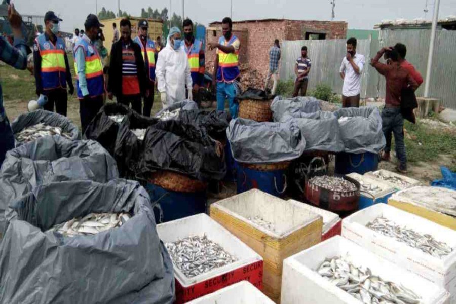 5,300kg Jatka seized in Louhajang
