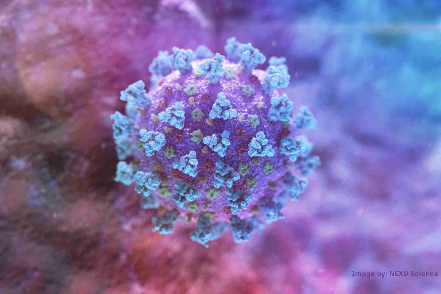 A computer image created by NEXU Science Communication together with Trinity College in Dublin, shows a model structurally representative of a betacoronavirus which is the type of virus linked to COVID-19, better known as the coronavirus linked to the Wuhan outbreak, shared with Reuters on February 18, 2020 — Reuters/Files