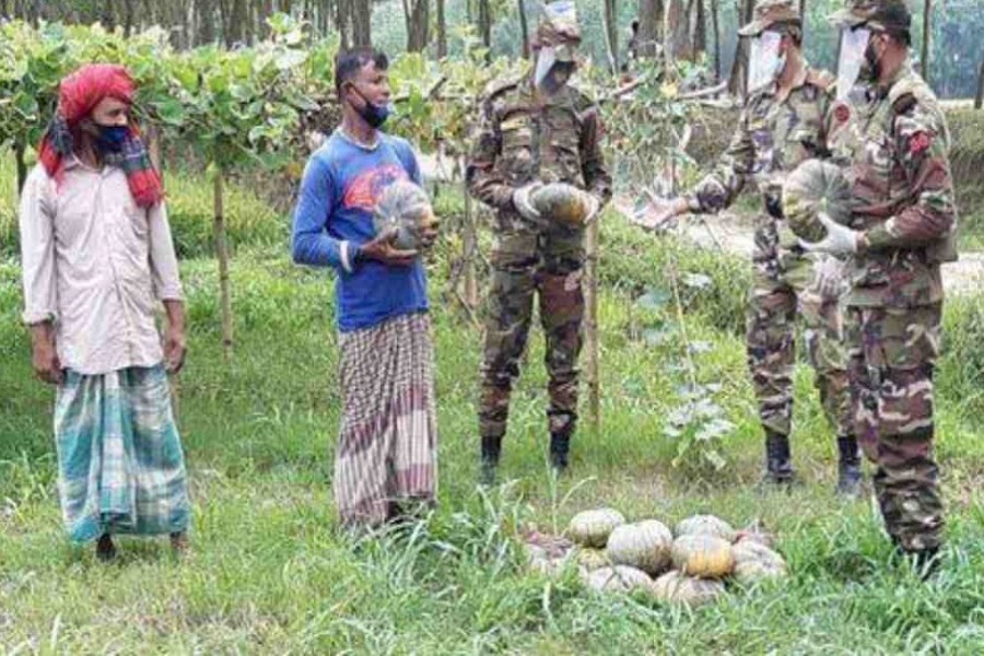 Army’s vegetable procurement reduces Kushtia farmers’ woes