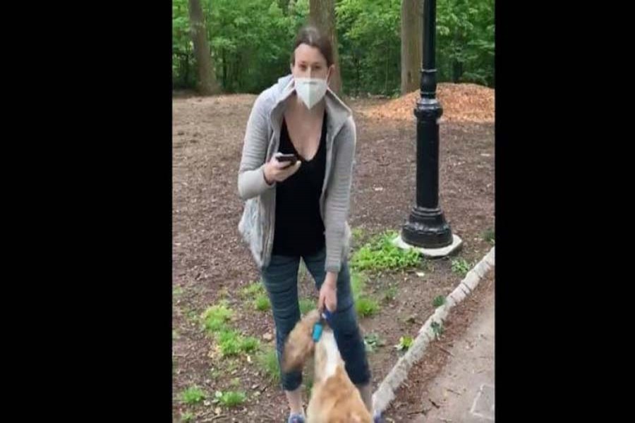 Christian Cooper filmed Amy Cooper-- after she refused to stop her dog running through woodland               (photo by Christian Cooper)