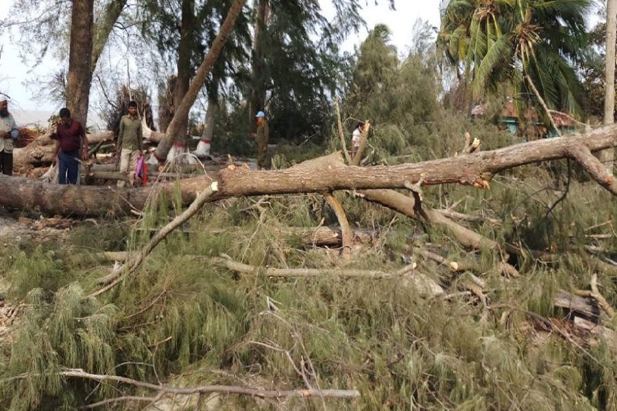 Amphan damages Sundarbans infrastructures, trees worth Tk 16.7m