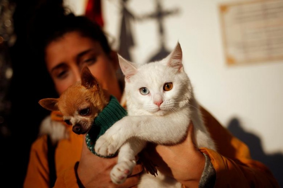 A woman poses with her dog and cat in the neighborhood of Churriana, in Malaga, southern Spain — Reuters/Files