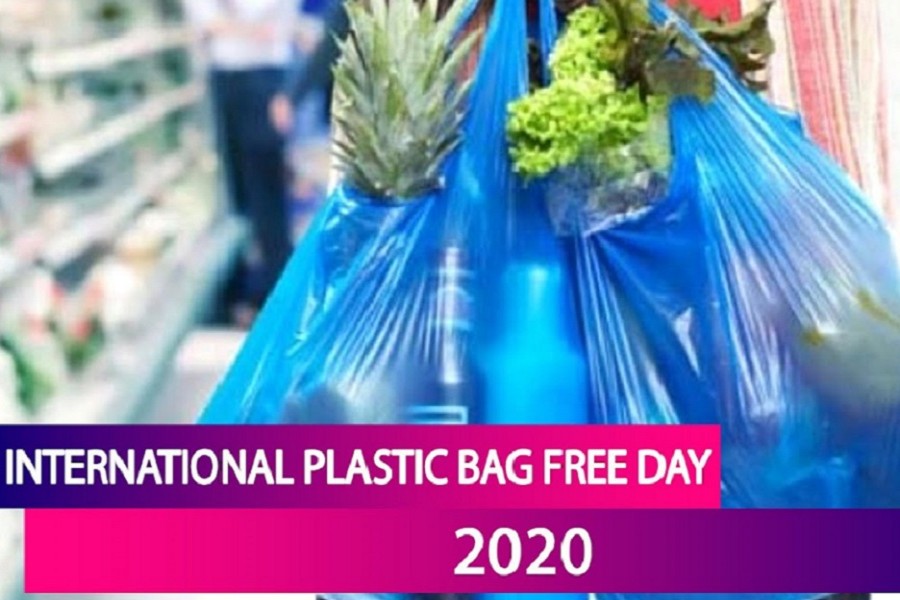 Global experts urge immediate enforcement of bag ban