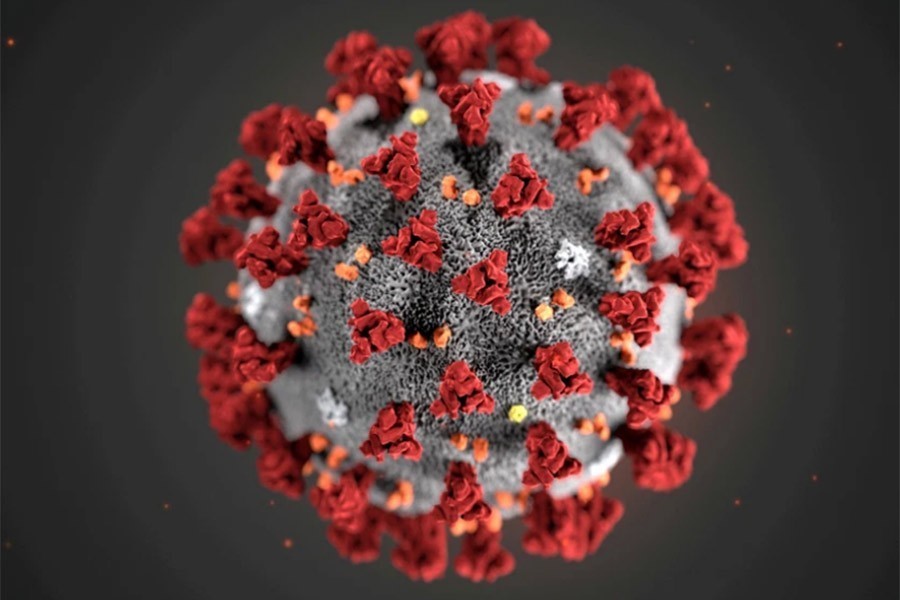 An illustration, created at the Centres for Disease Control and Prevention (CDC), depicts the 2019 Novel Coronavirus — Reuters/Files