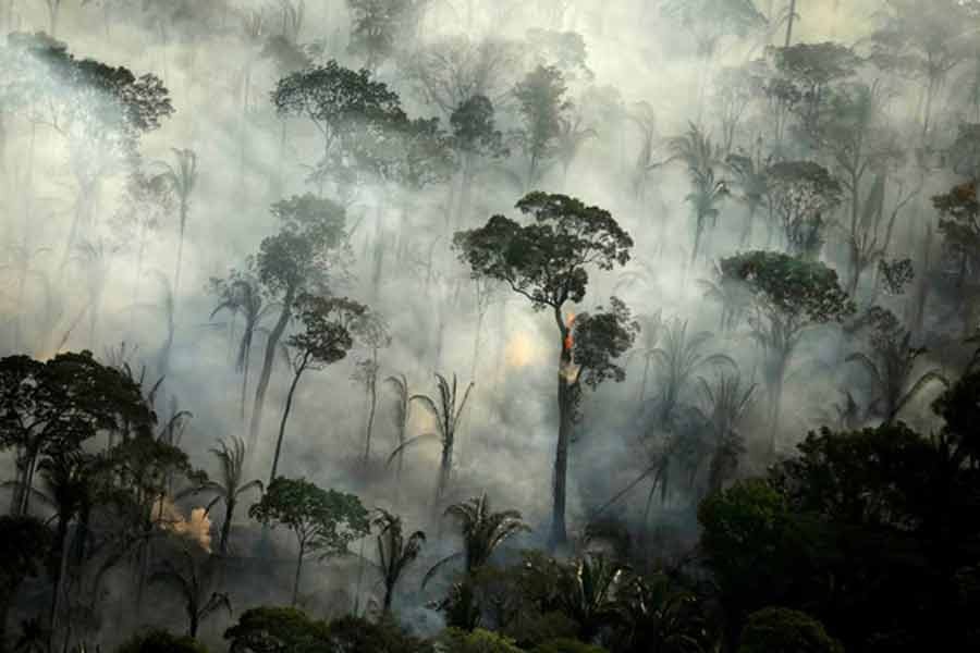 Brazil bans fires in Amazon rainforest for 120 days