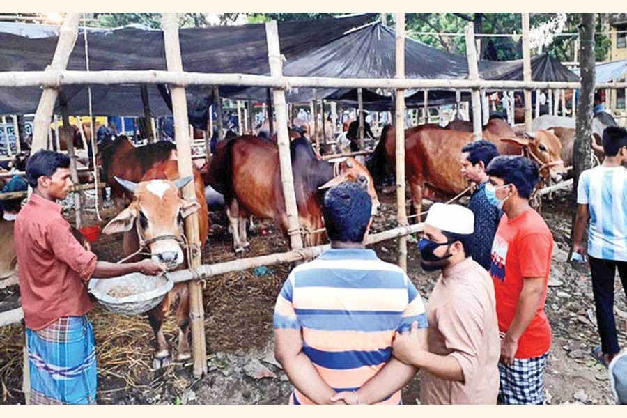 Cattle traders at mercy of extortionists in Ctg
