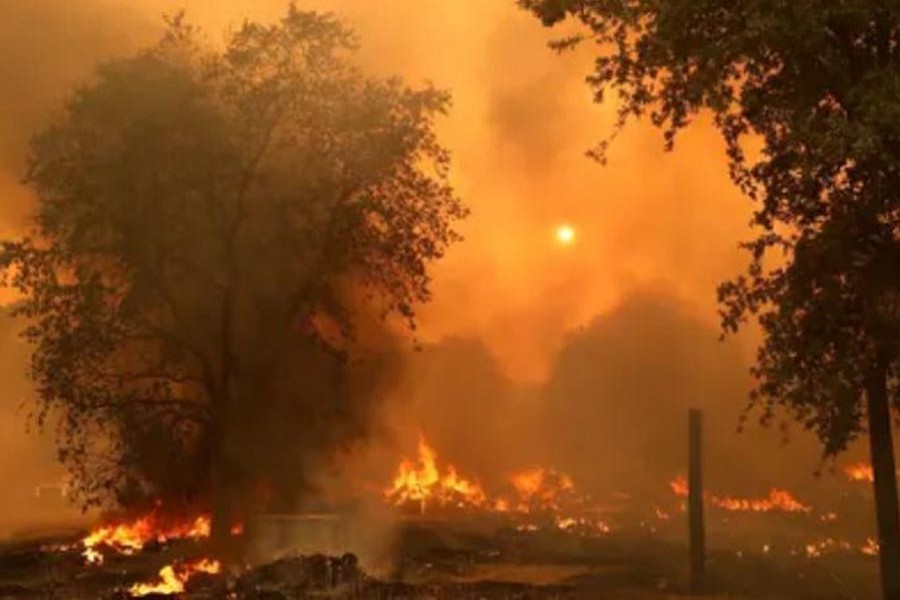Five dies in California wildfires