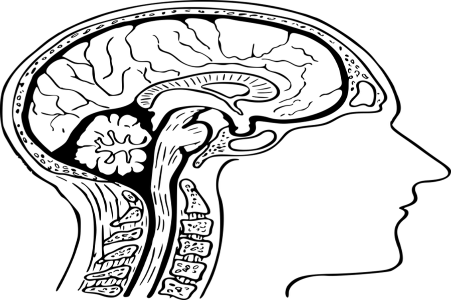 Risk of memory loss and cognitive decline due to Covid-19