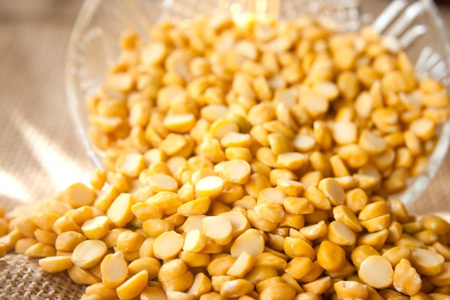 Quality cereal seeds required for sustainable farming