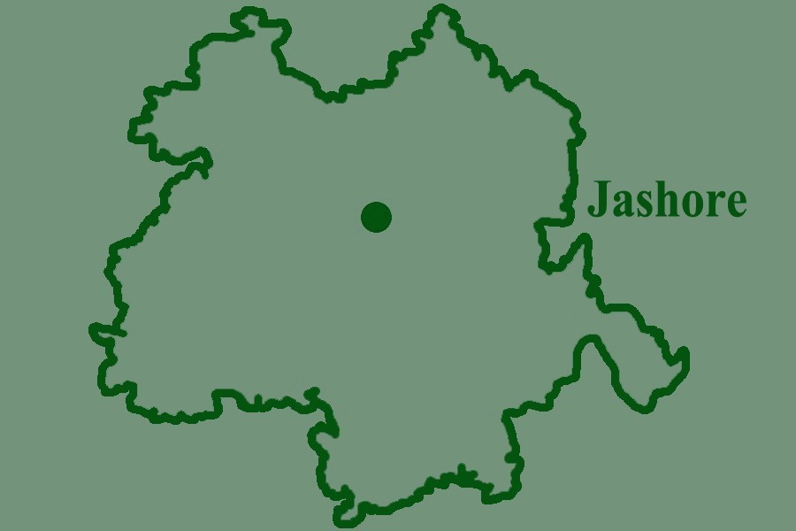 Aman fields battered by pest attack in Jashore
