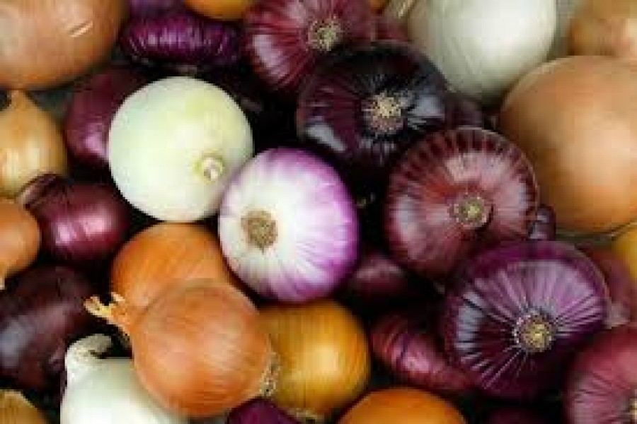 Onion prices fall in city markets