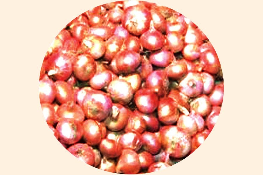 Imported onion reaches Chattogram port
