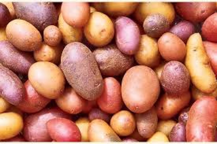 Potato prices shoot up