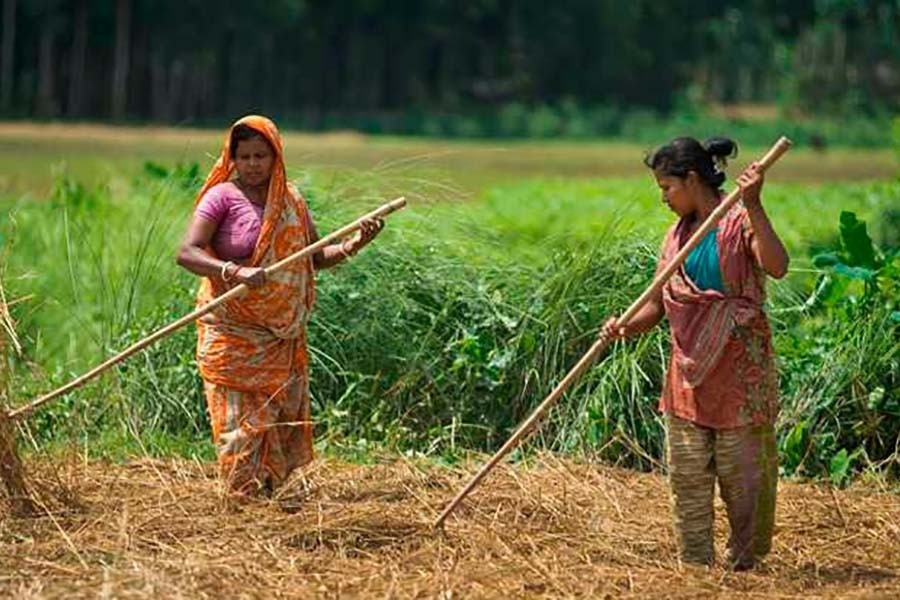 83pc women farmers of Africa, Asia lost livelihood amid pandemic