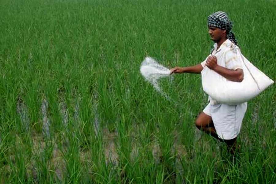 Govt to import 80,000 MTs urea fertiliser