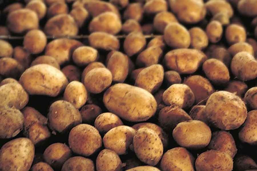 Traders sell new potatoes at Tk 150 a kg