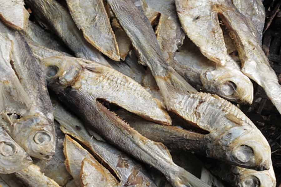 Cox’s Bazar to get dried fish processing industry