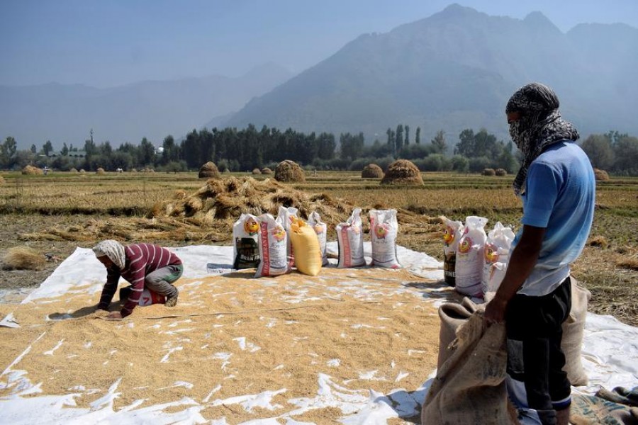 Bangladesh, India finalising first bilateral rice deal in three years