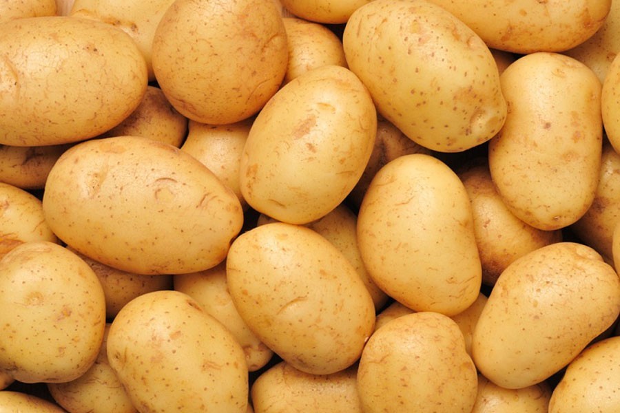 DAE sets target of producing 115,920 tonnes of potato in Jamalpur