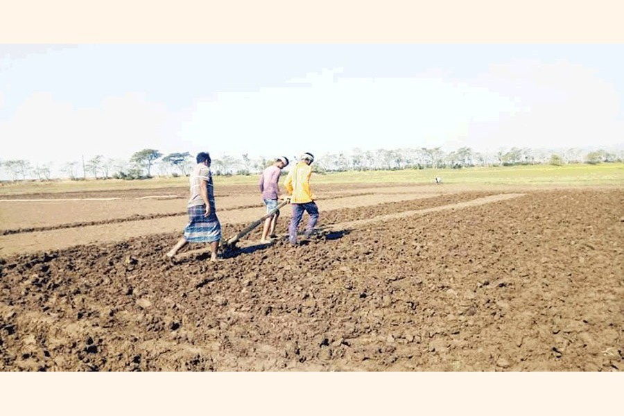 Farmers readying lands, covered with silts, for Boro cultivation in Tahirpur haor areas of Sunamganj — FE Photo