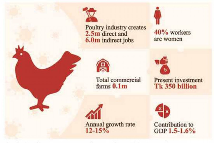 Poultry sector suffers as pandemic pushes up poverty