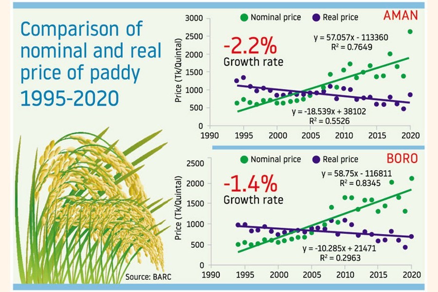 Rice farming turns losing venture for Bangladesh peasantry