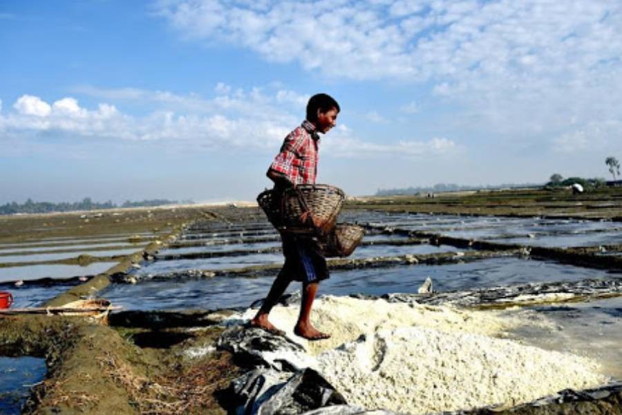 A farmer works in a salt bed at Moheshkhali upazila of Cox's Bazar, the country's biggest salt producing area that supplies largest portion of domestic demand. (File/Xinhua)