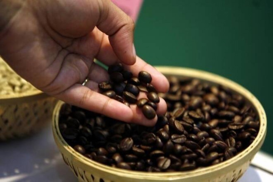 Coffee, cashew cultivation in Chattogram bears export potential