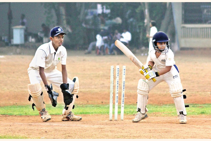 Building career in cricket