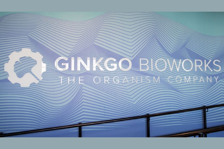 Biotech firm Ginkgo in talks with SPAC for over $20b deal