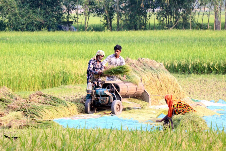 Focus Bangla file photo