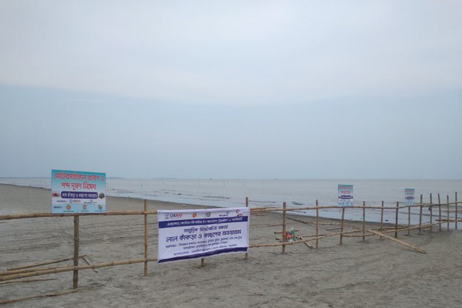 Sanctuary established at Kuakata beach to conserve red crabs