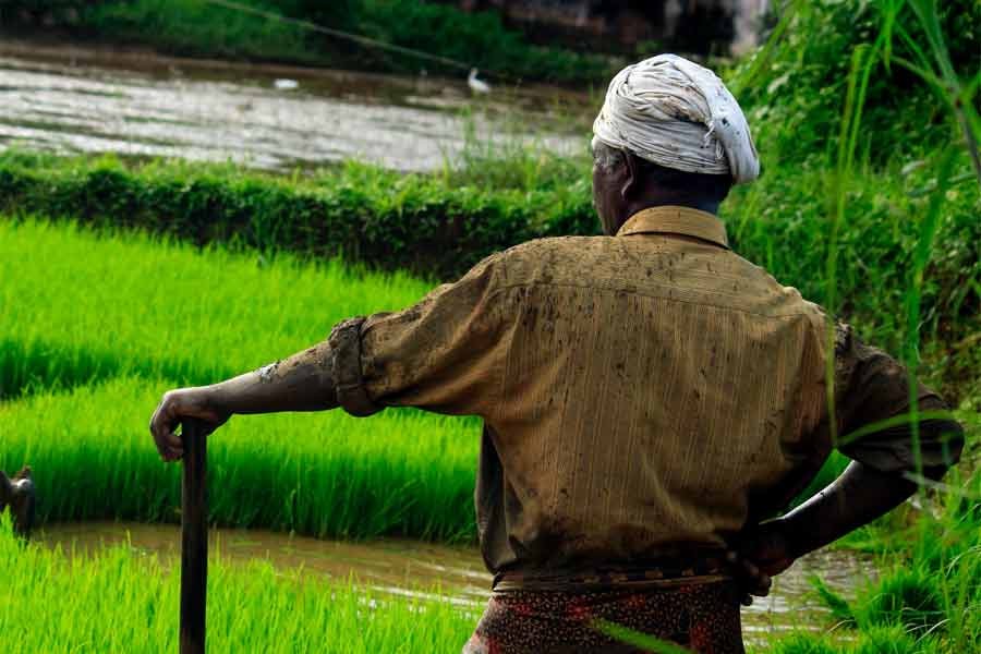 Financing investments that benefit the environment, poor and vulnerable groups and other social good is profitable. Photo: Nandhu Kumar/ADB