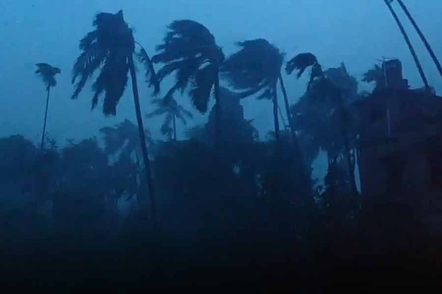 Trees are battered by severe winds from Cyclone Amphan that hit Bangladesh and India in 2020 –Reuters file photo