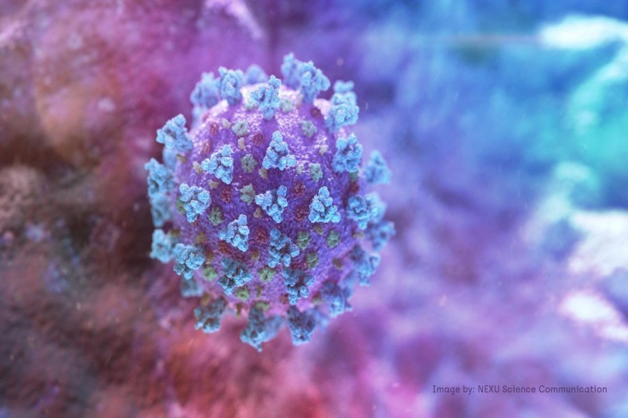 A computer image created by Nexu Science Communication together with Trinity College in Dublin, shows a model structurally representative of a betacoronavirus which is the type of virus linked to Covid-19, better known as the coronavirus linked to the Wuhan outbreak, shared with Reuters on February 18, 2020 — NEXU Science Communication/via REUTERS