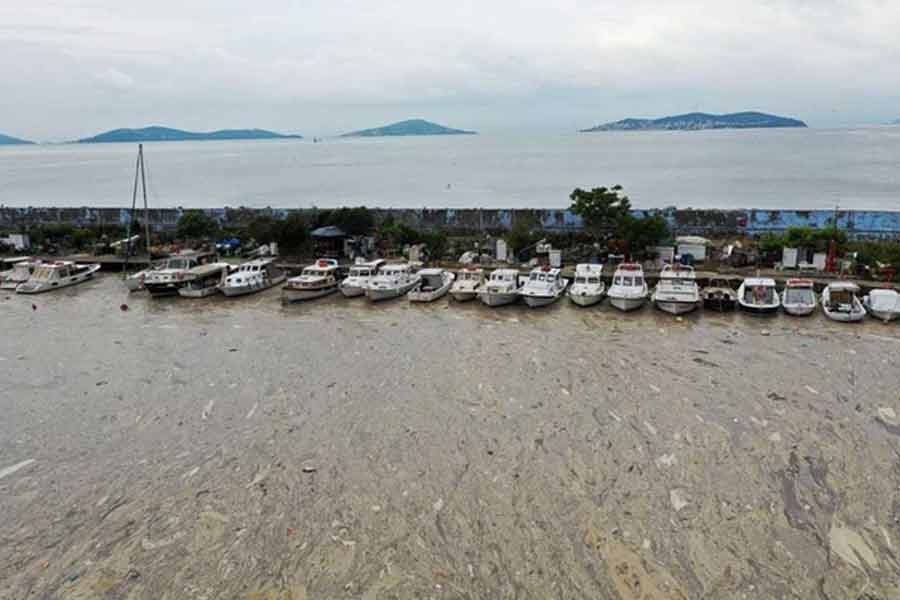 A general view shows a thick layer of "sea snot", consisting of a wide variety of microorganisms, that covers the sea near the coast in the Bostanci harbour in Istanbul –Reuters file photo