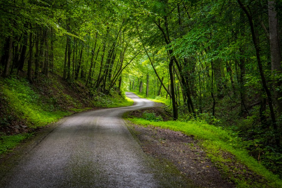 Of peaceful 'poths' and roads