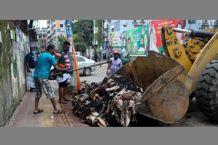 Traders leave unsold rawhide to rot in Dhaka