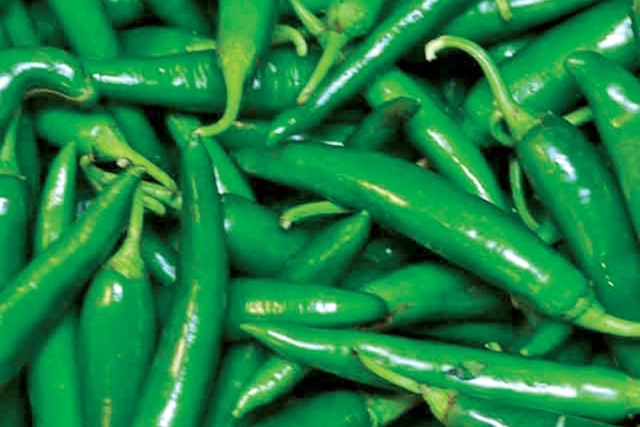 Chilli import process eased