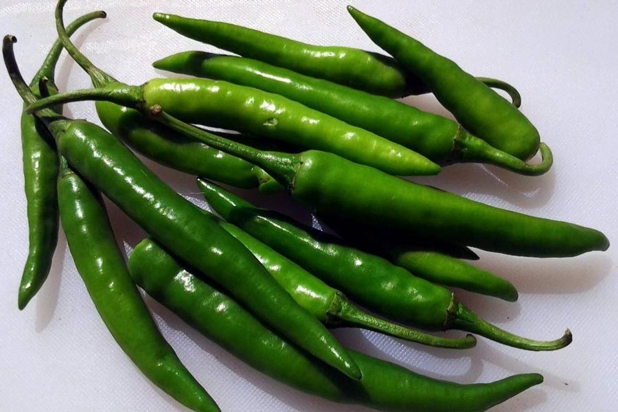 Bangladesh starts importing green chilly from India